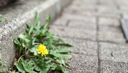 地覆とは – 高欄の基礎であり道路の安全確保と路面の排水処理を担う